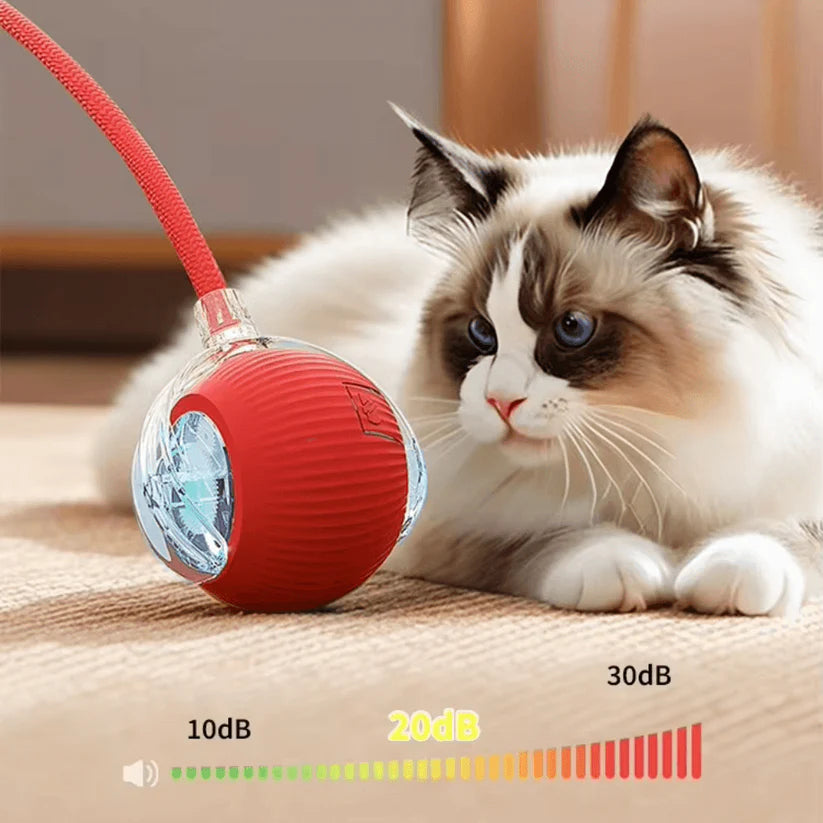 Self-Moving Cat Toy Ball