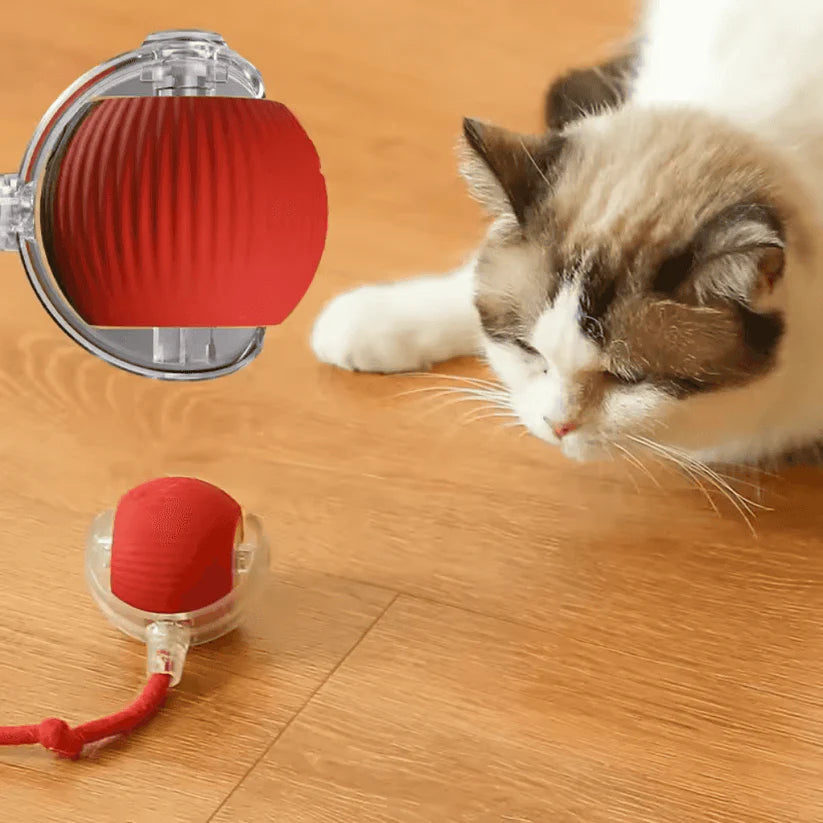 Self-Moving Cat Toy Ball