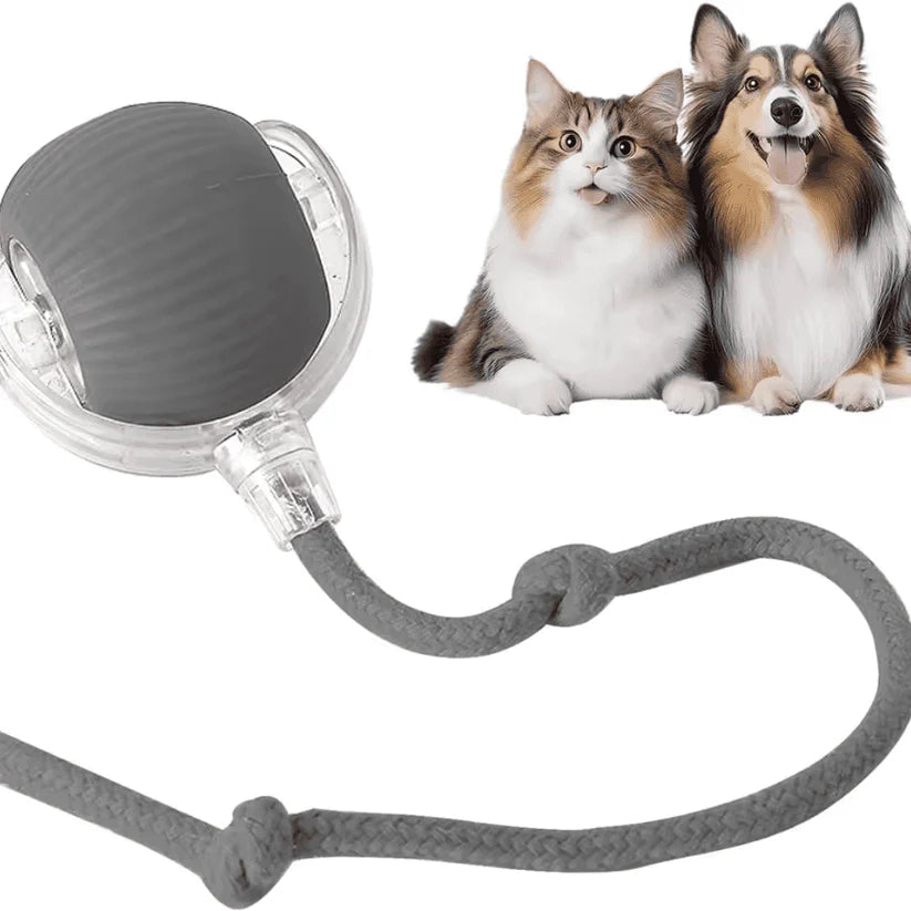 Self-Moving Cat Toy Ball