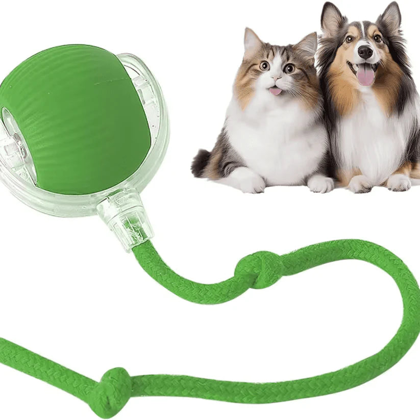 Self-Moving Cat Toy Ball