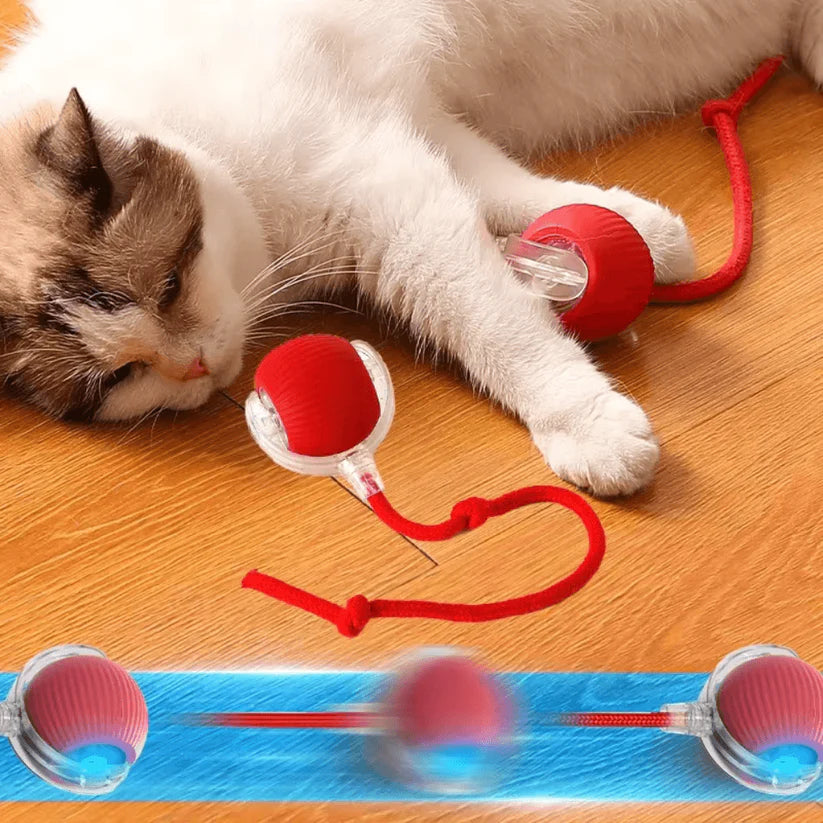 Self-Moving Cat Toy Ball