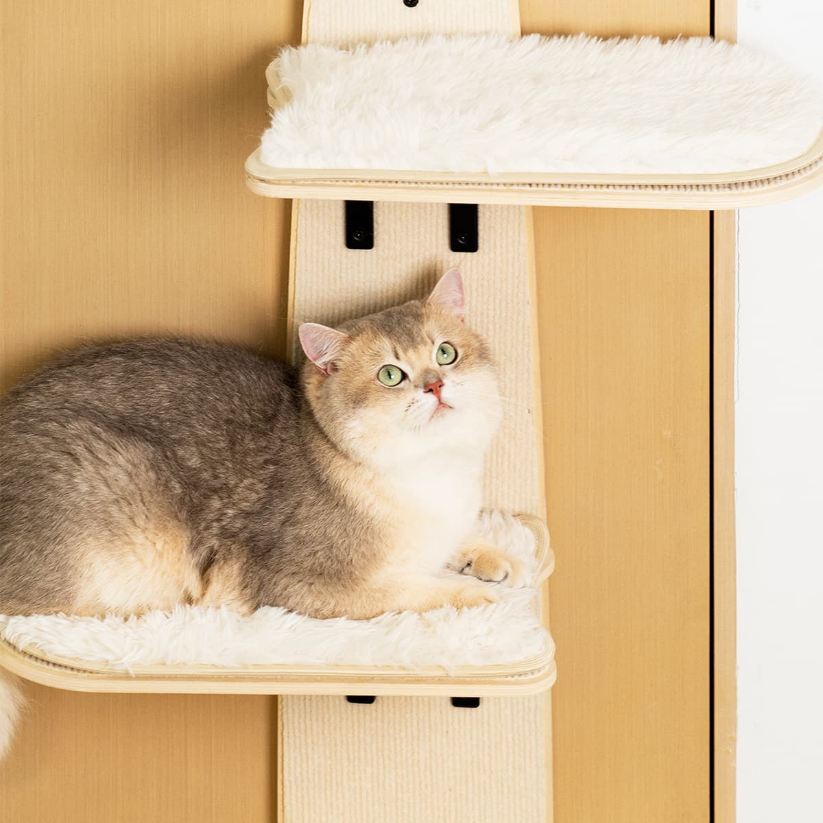 50% OFF- Door Cat Tree