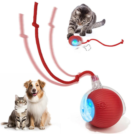 Self-Moving Cat Toy Ball